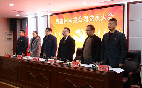 恩施國(guó)投公司召開黨委成立大會(huì)