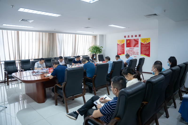 公司黨委理論學習中心組開展黨風廉政建設宣教月專題學習