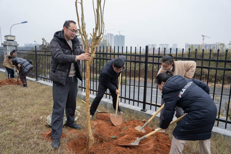 1709883156521496.jpg 3-3.jpg